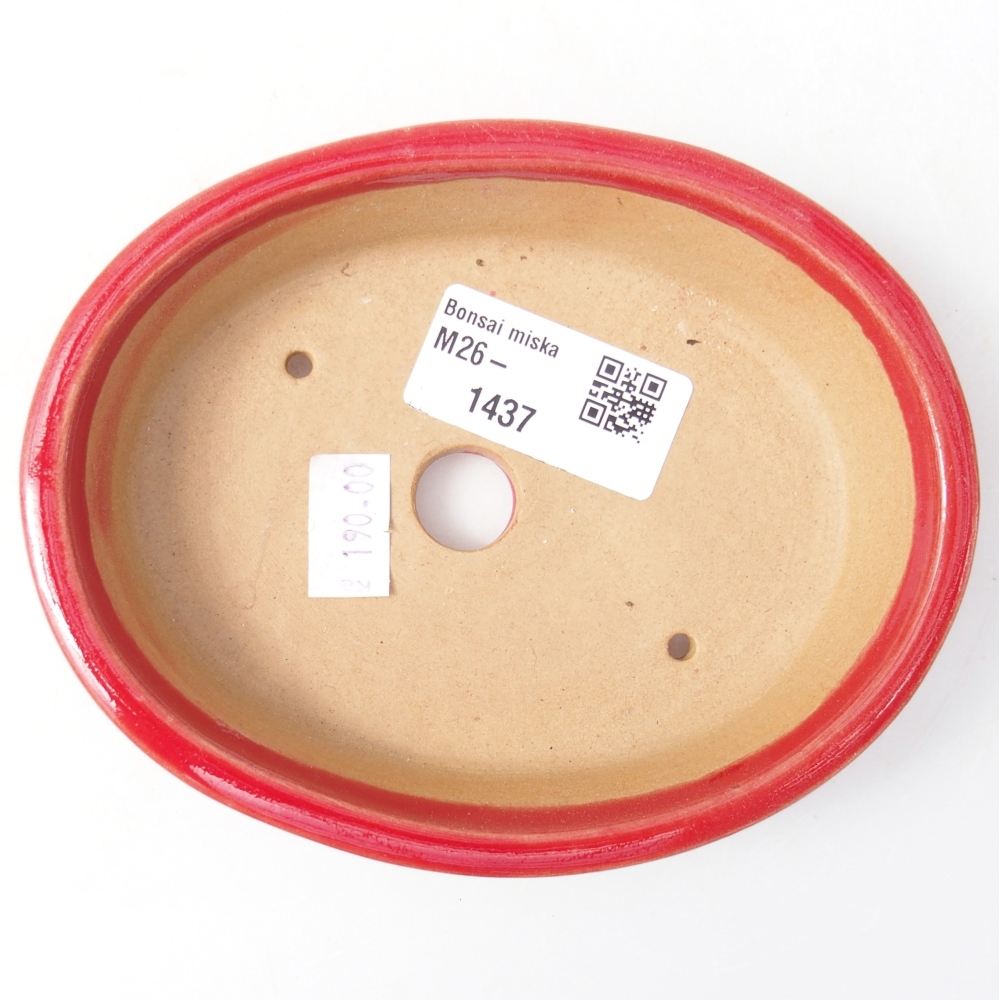 Ciotola per bonsai in ceramica 13 x 10,5 x 3 cm, colore rosso