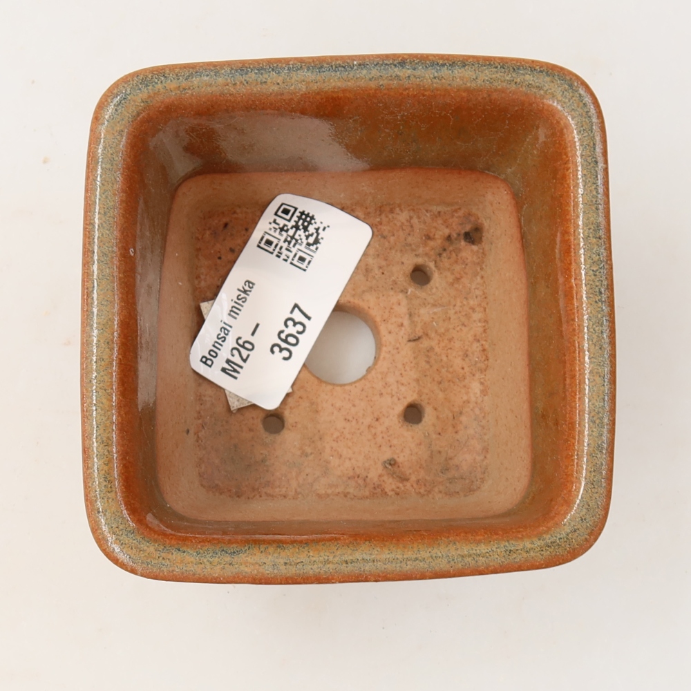 Ciotola per bonsai in ceramica 8,5 x 8,5 x 5,5 cm, marrone