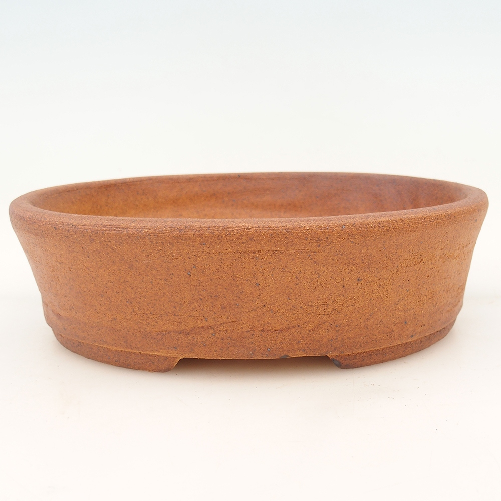 Ciotola per bonsai 20 x 16 x 5,5 cm , colore marrone