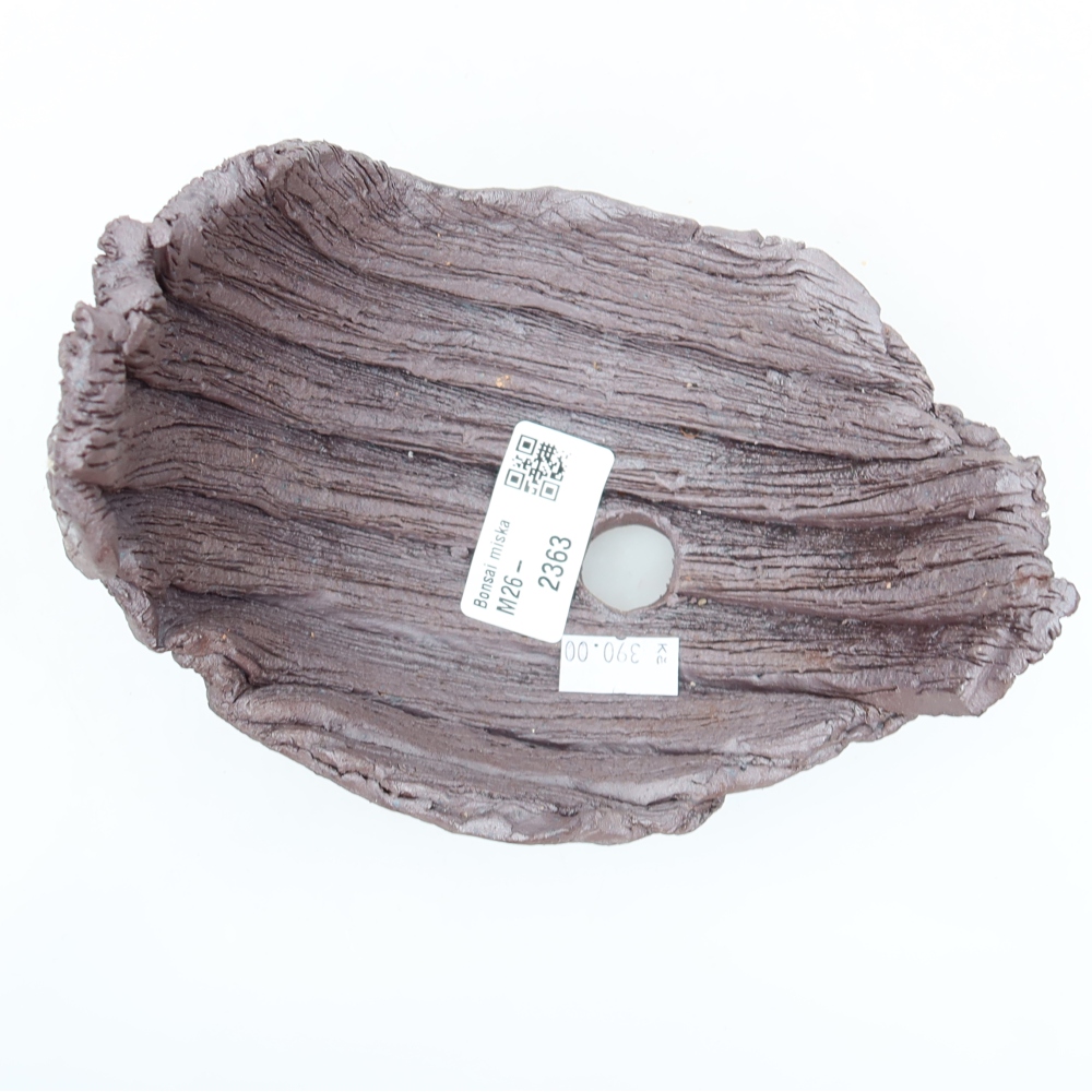 Guscio in ceramica  14,5 x 11,5 x 13,5 cm, colore marrone
