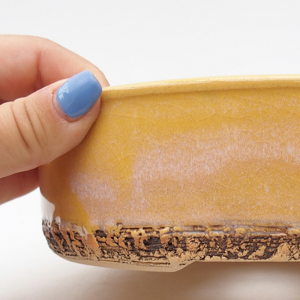 Ciotola per bonsai in ceramica 18,5 x 18,5 x 6 cm, giallo