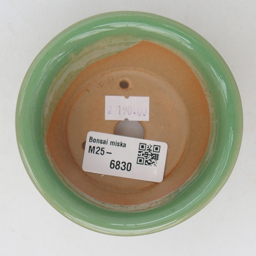 Ciotola bonsai in ceramica 9 x 9 x 5 cm, verde
