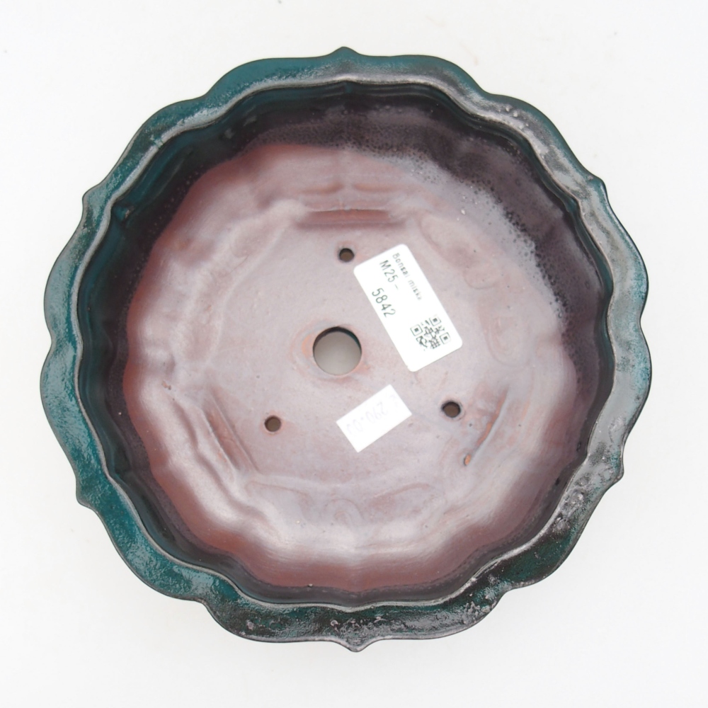 Ciotola bonsai in ceramica 22 x 17 x 5 cm, verde