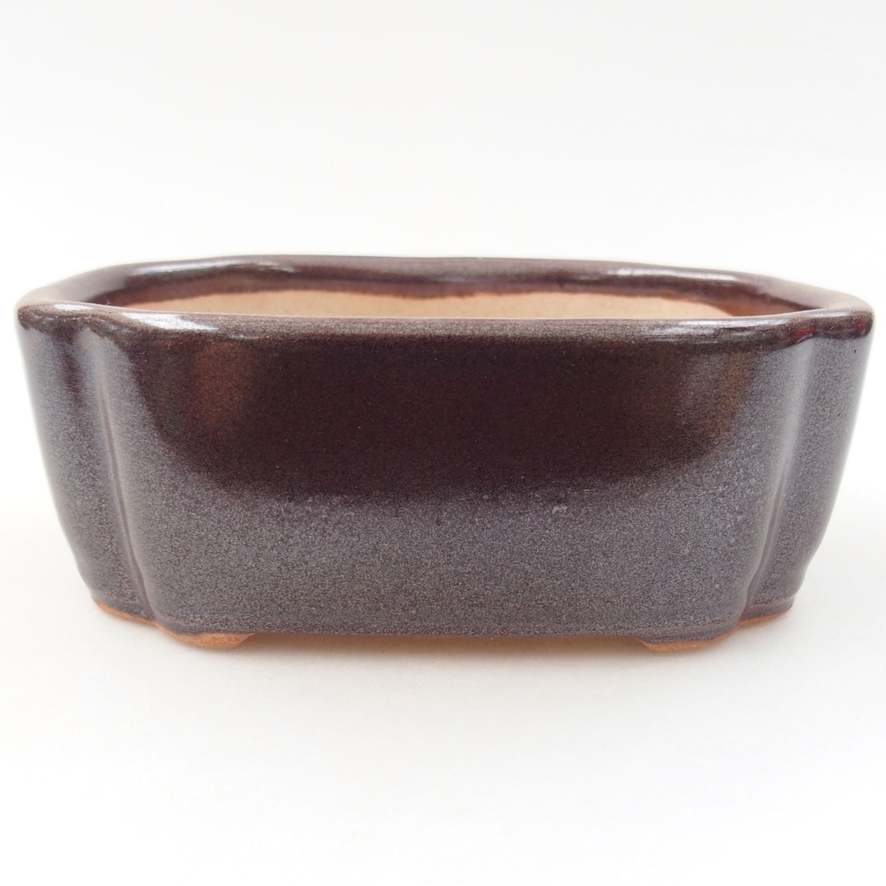 Ciotola bonsai in ceramica 22 x 17 x 5 cm, verde