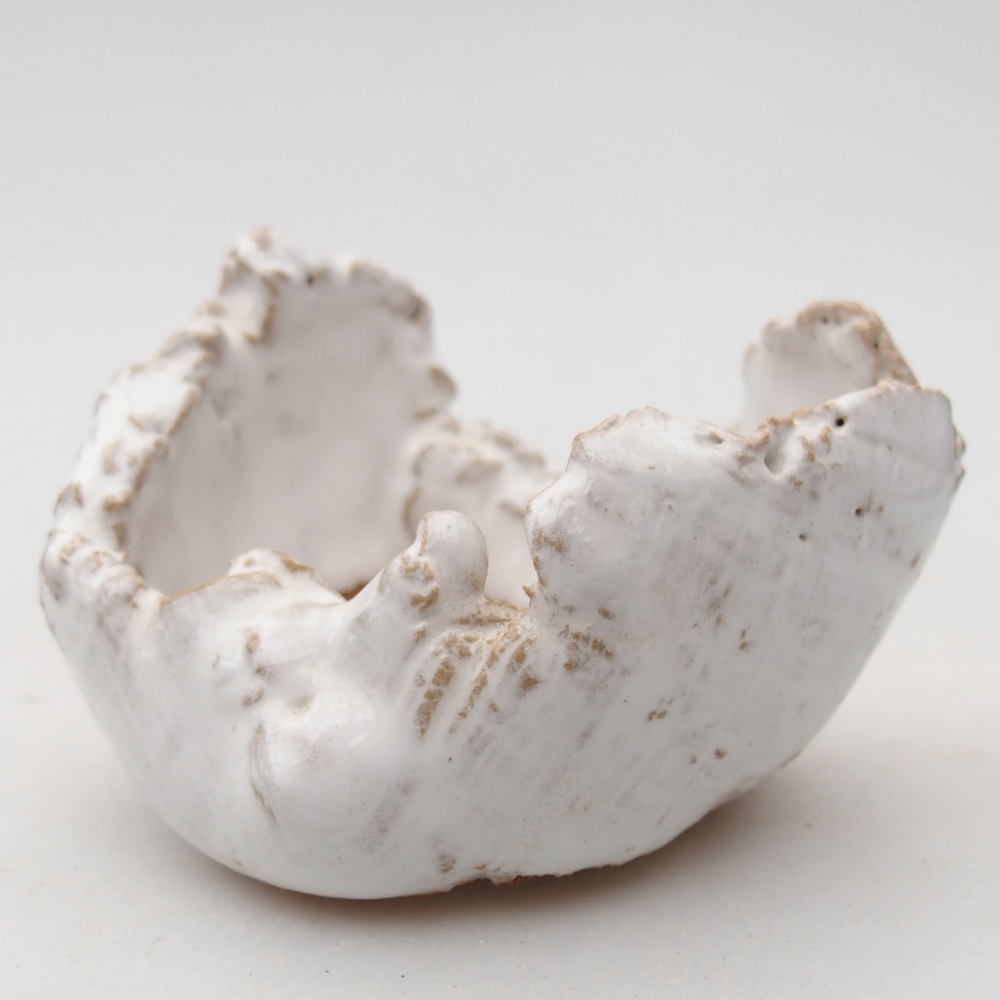 Conchiglia in ceramica 7 x 6,5 x 5 cm , colore bianco