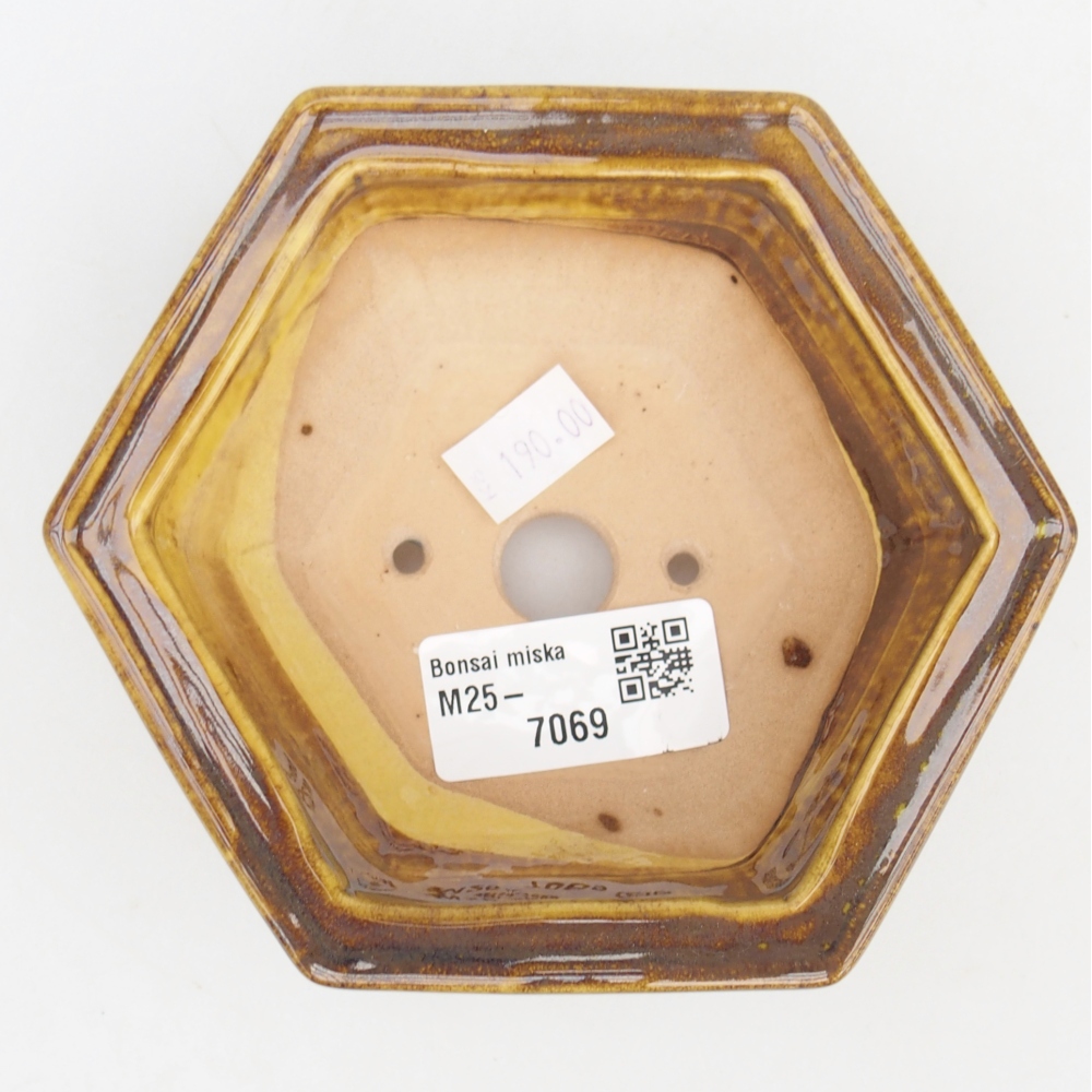 Ciotola bonsai in ceramica 26 x 26 x 8 cm, colore rosso