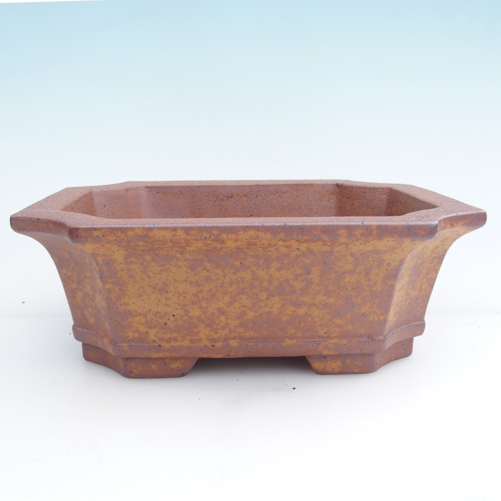 Ciotola per bonsai in ceramica 23,5 x 17,5 x 8,5 cm, marrone