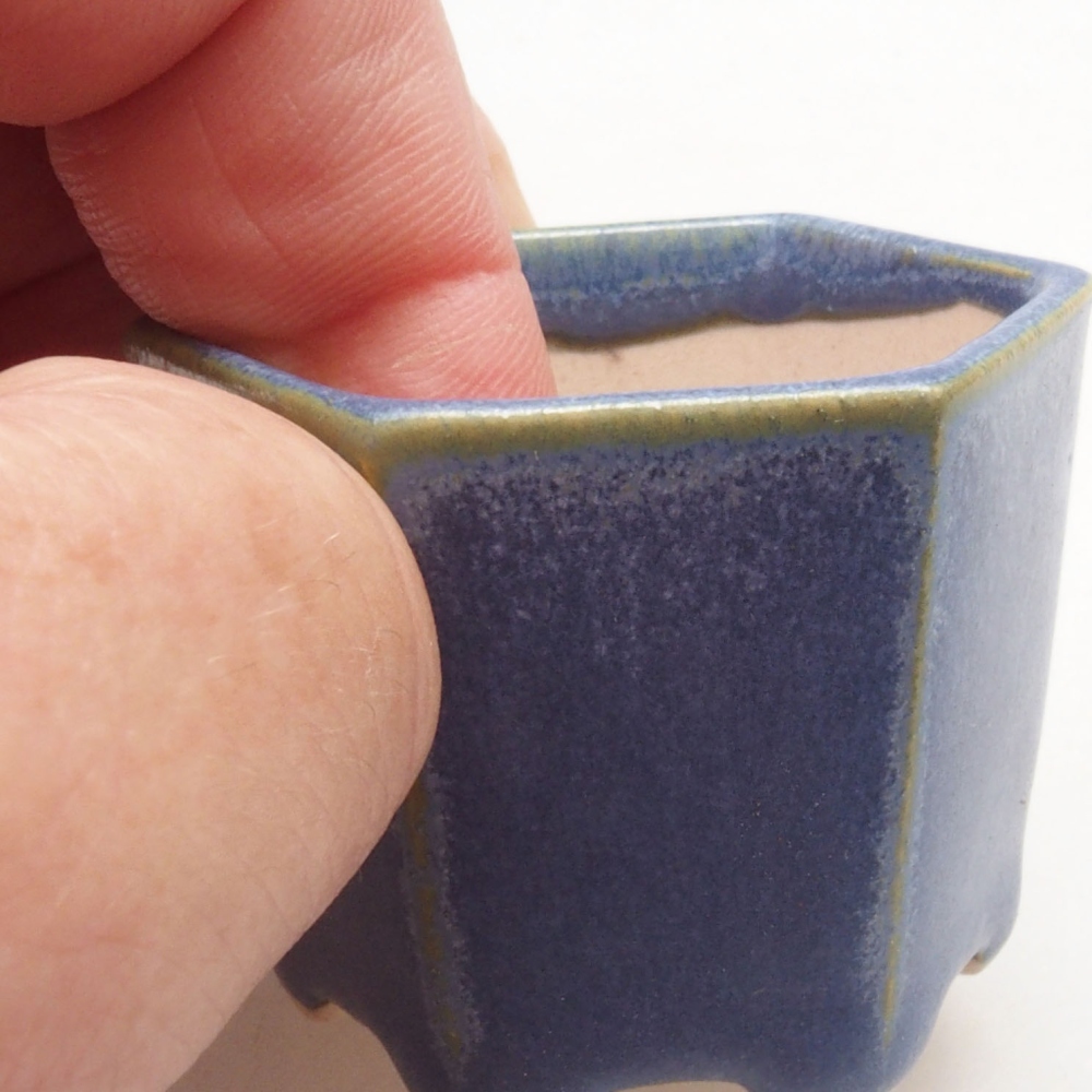 Mini bonsai 4,5 x 4 x 3,5 cm, colore blu