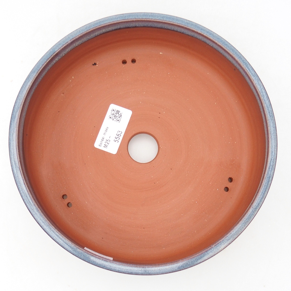 Ciotola bonsai in ceramica 20 x 20 x 5 cm, colore blu