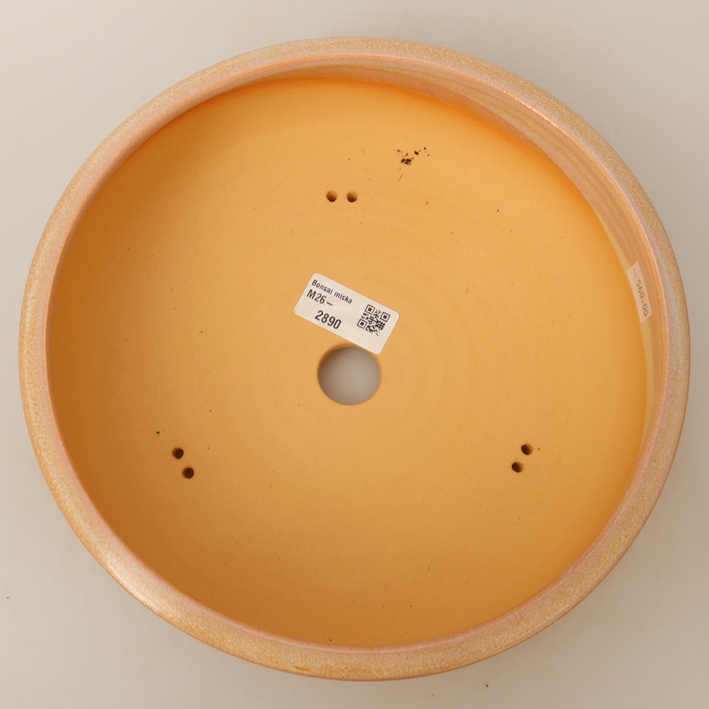 Ciotola bonsai in ceramica 24 x 24 x 7 cm, colore beige