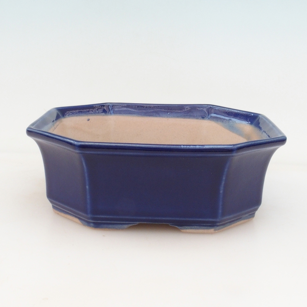 Ciotola bonsai + piattino H14 - blu