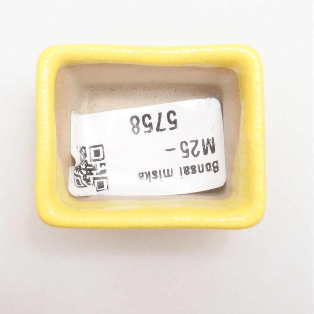 Ciotola per bonsai in ceramica 4 x 3,5 x 2,5 cm, giallo