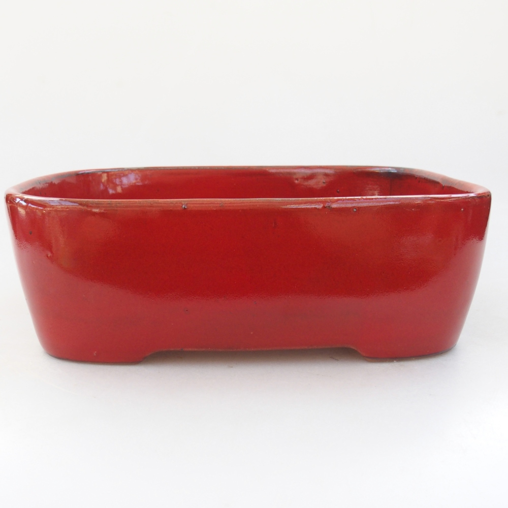 Ciotola per bonsai in ceramica 23 x 18 x 7,5 cm, colore rosso