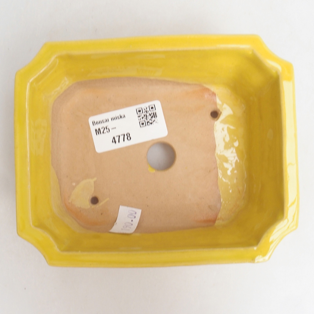 Ciotola bonsai in ceramica 13 x 10,5 x 4 cm, giallo