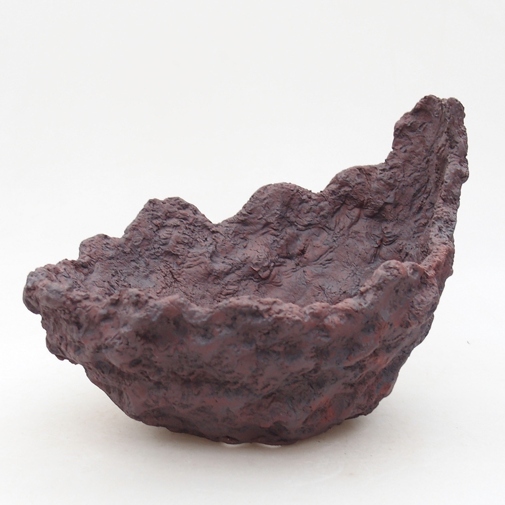 Conchiglia in ceramica 19 x 17 x 15 cm , colore marrone