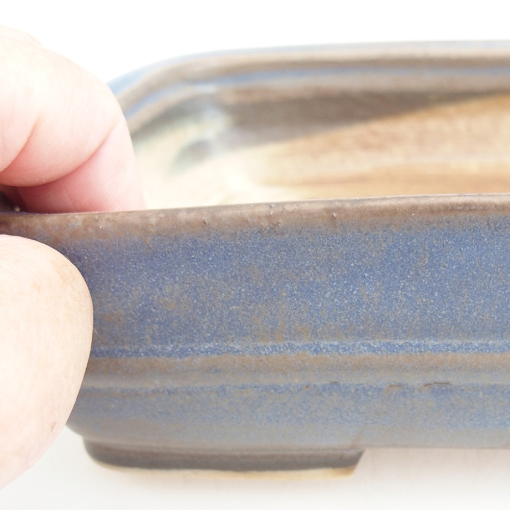 Ciotola bonsai in ceramica 21,5 x 17,5 x 5,5 cm, colore blu