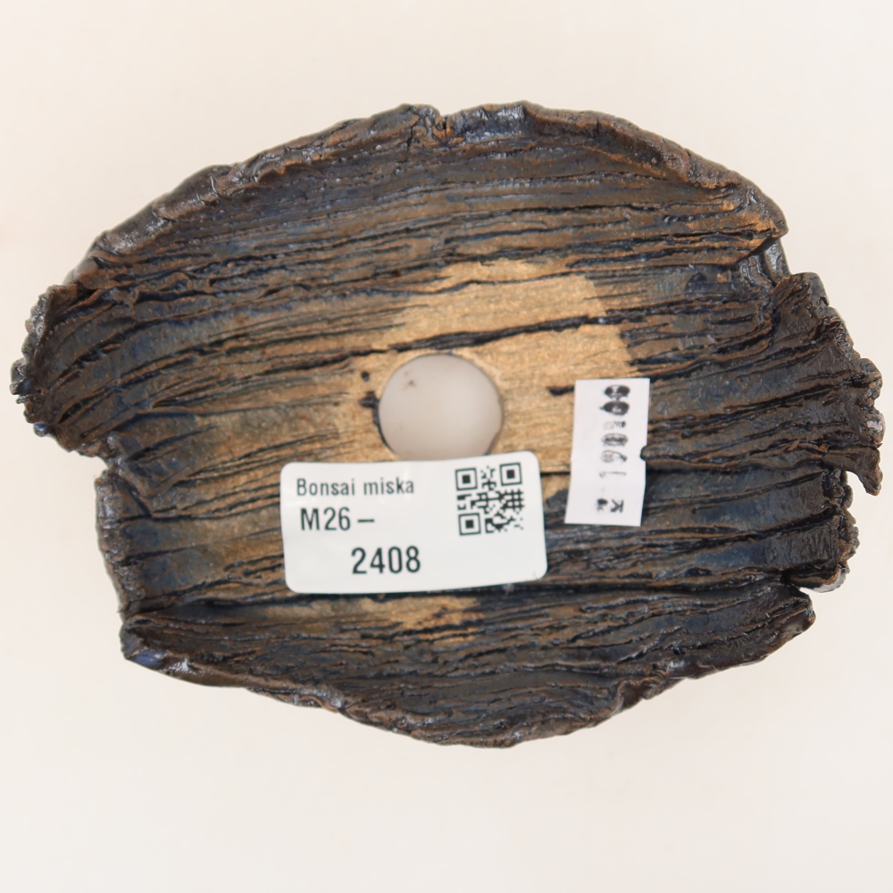 Guscio in ceramica  10,5 x 8,5 x 6,5 cm, colore verde-nero