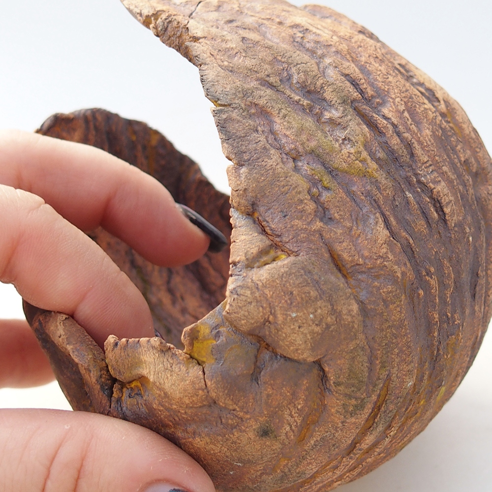 Conchiglia in ceramica 10 x 9,5 x 10 cm , colore marrone