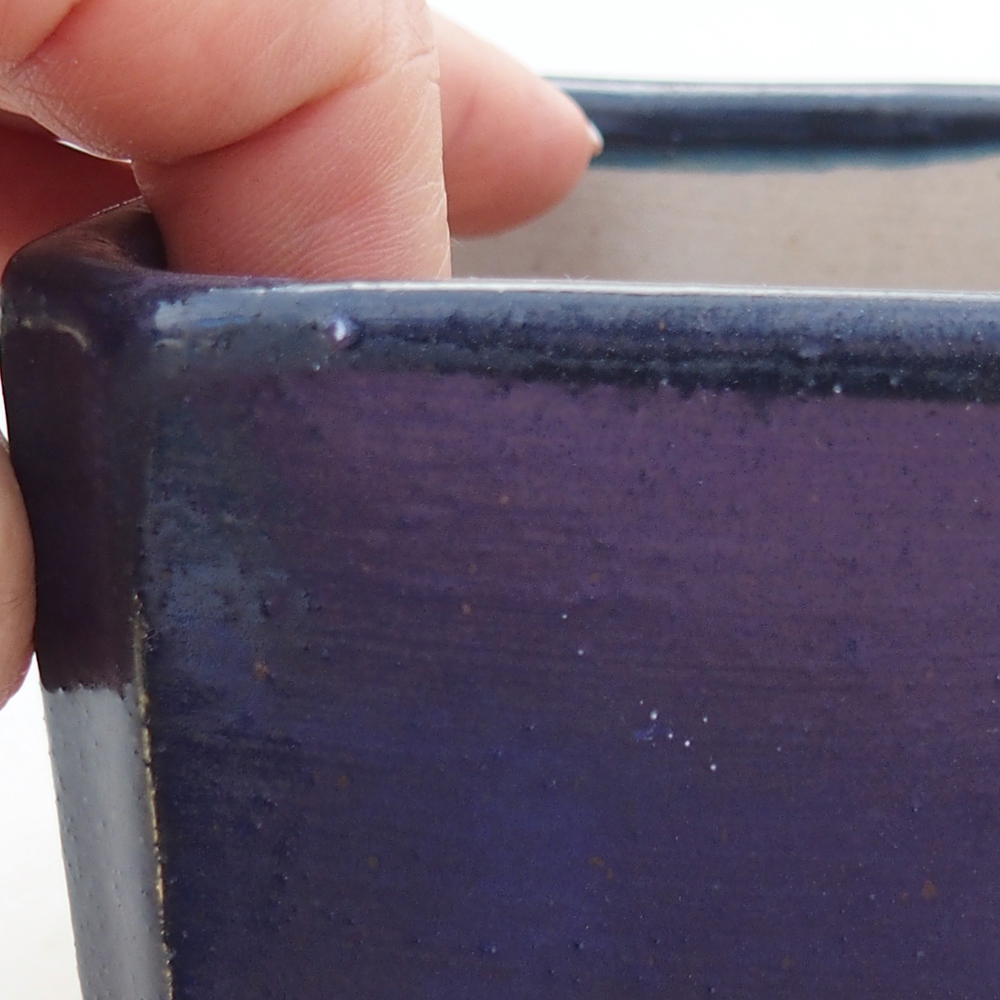 Ciotola bonsai in ceramica 9 x 9 x 7 cm, colore blu