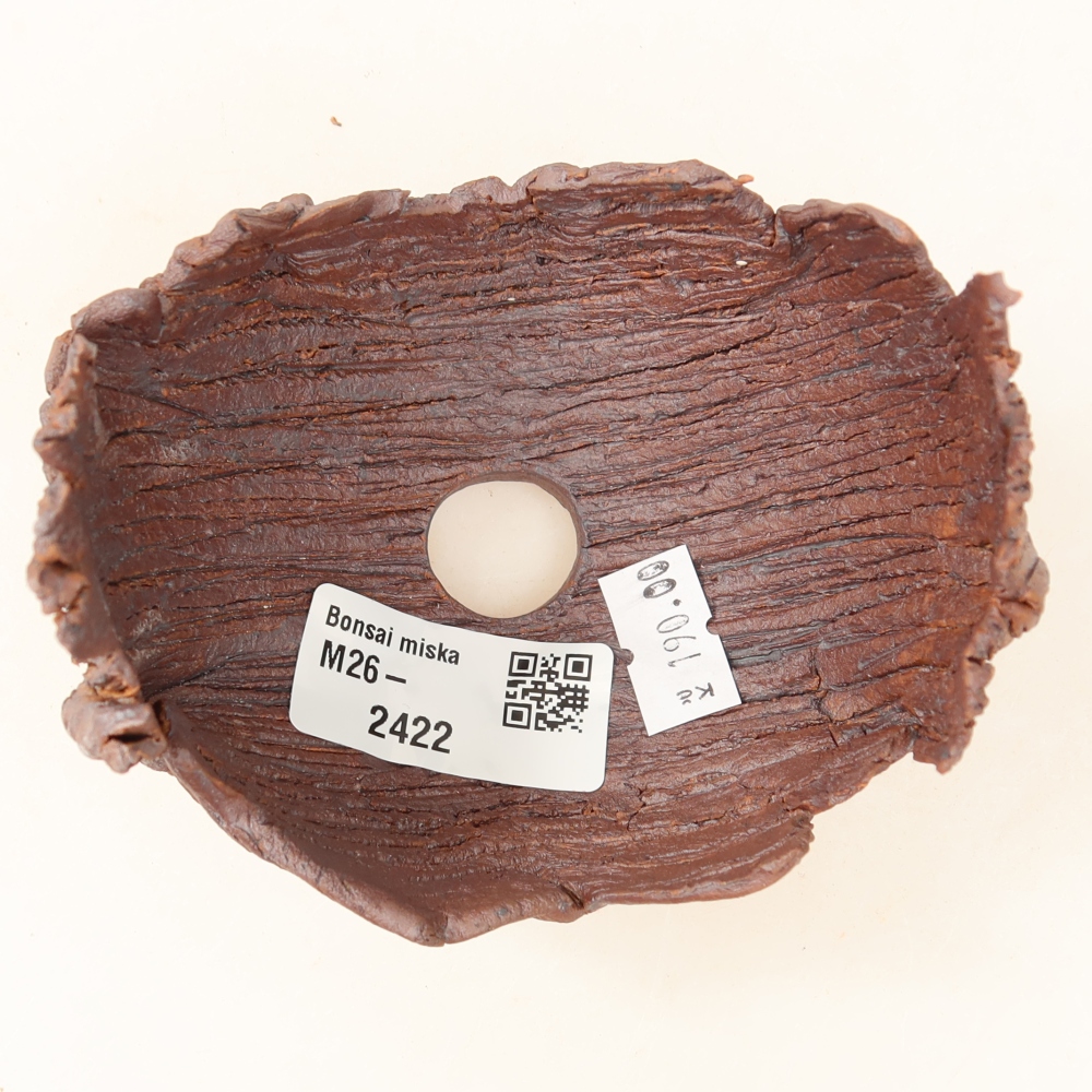 Guscio in ceramica  9,5 x 8,5 x 8 cm, colore marrone