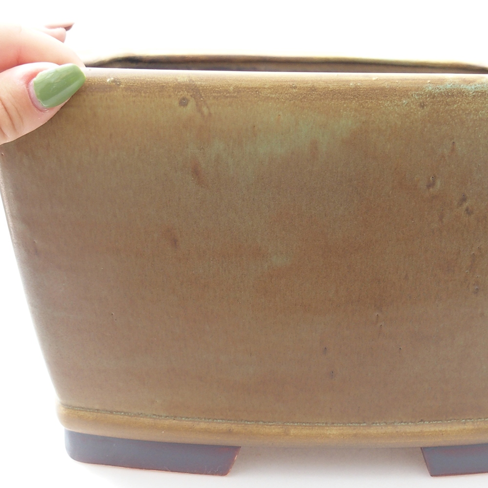 Ciotola per bonsai in ceramica 26,5 x 26,5 x 16 cm, verde