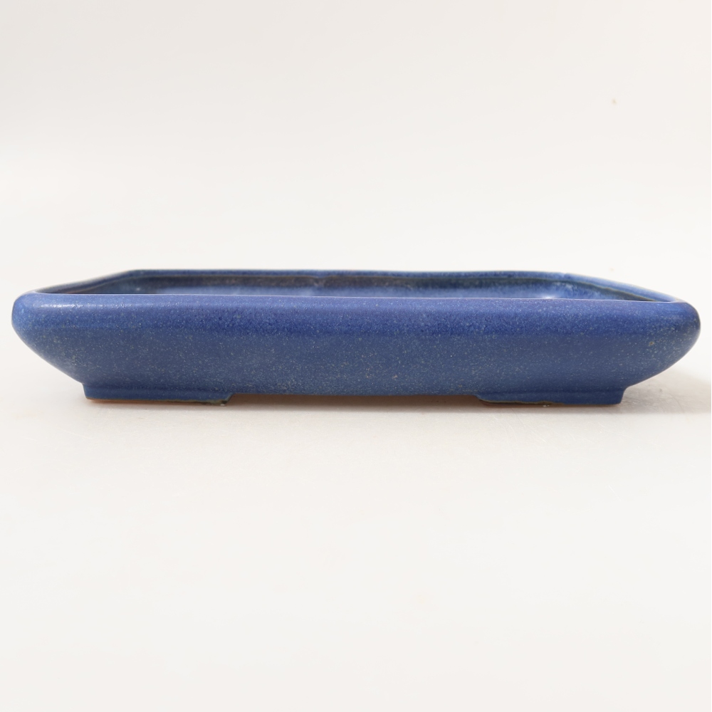 Vaso da bonsai in ceramica 24 x 17,5 x 4 cm, colore blu
