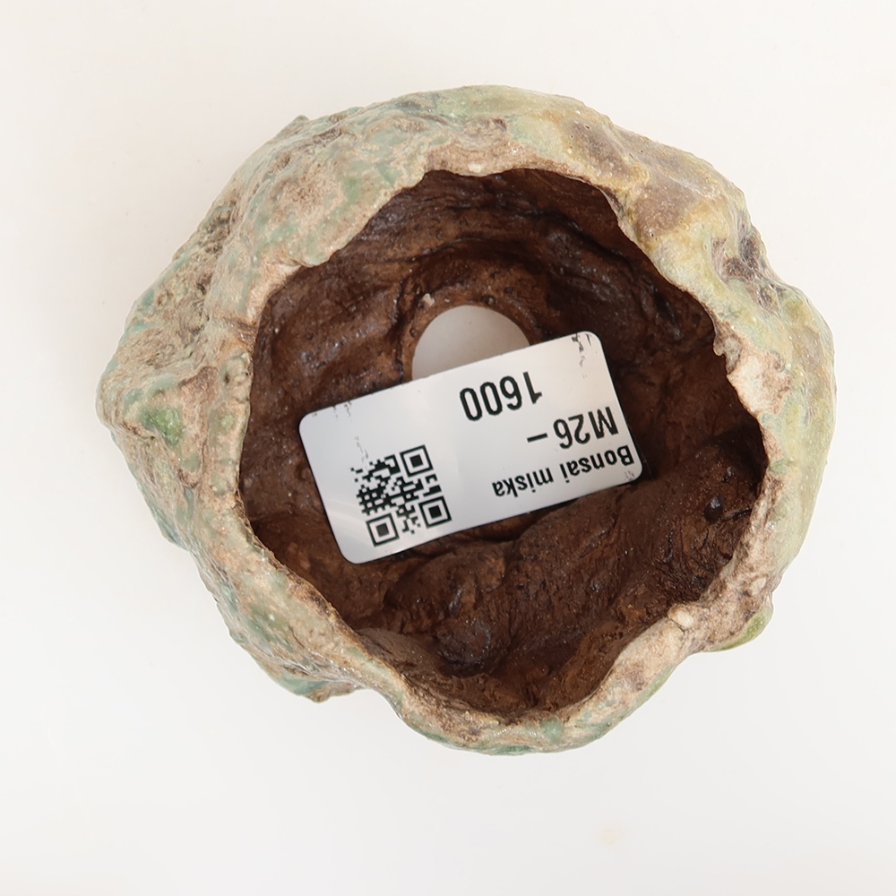 Guscio in ceramica  5,5 x 5,5 x 5,5 cm, colore verde