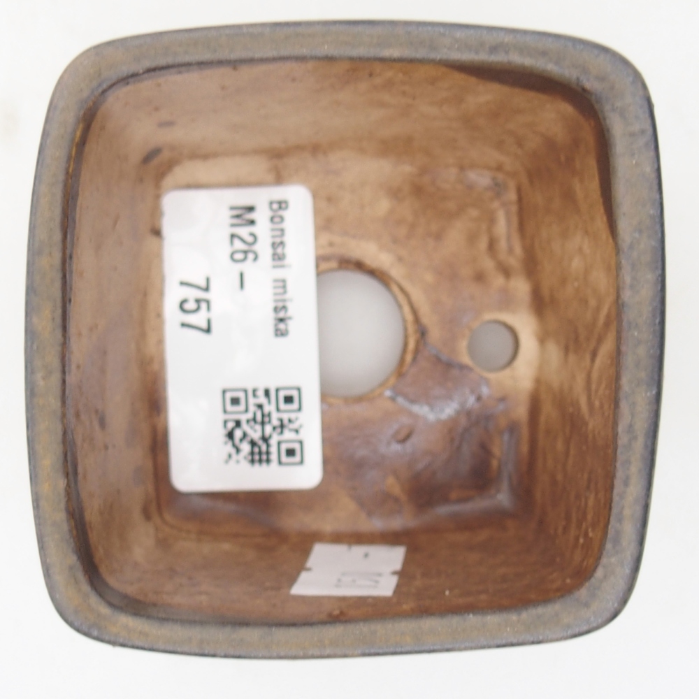 Ciotola per bonsai in ceramica 6 x 6 x 4,5 cm, marrone