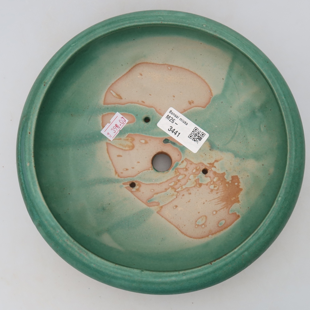 Vaso da bonsai in ceramica 20 x 20 x 7,5 cm, colore verde