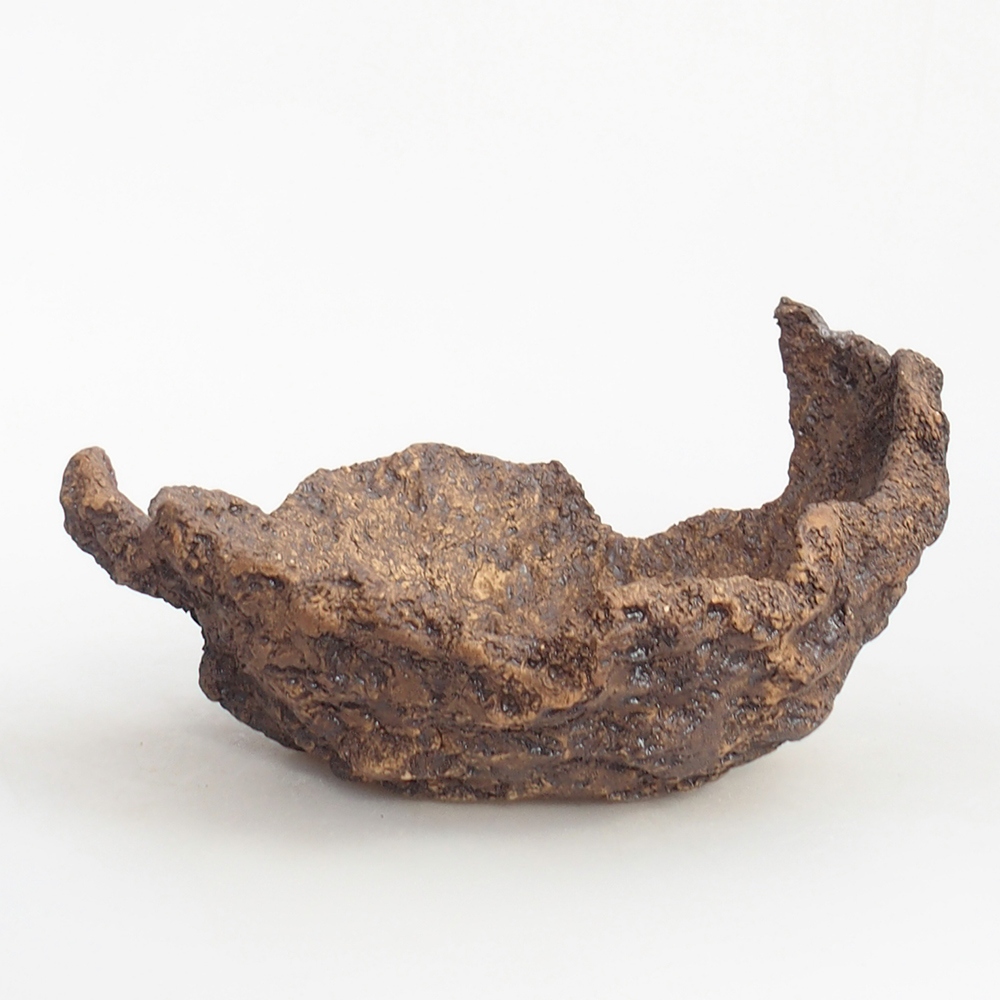 Conchiglia in ceramica 18 x 18 x 12 cm , colore marrone