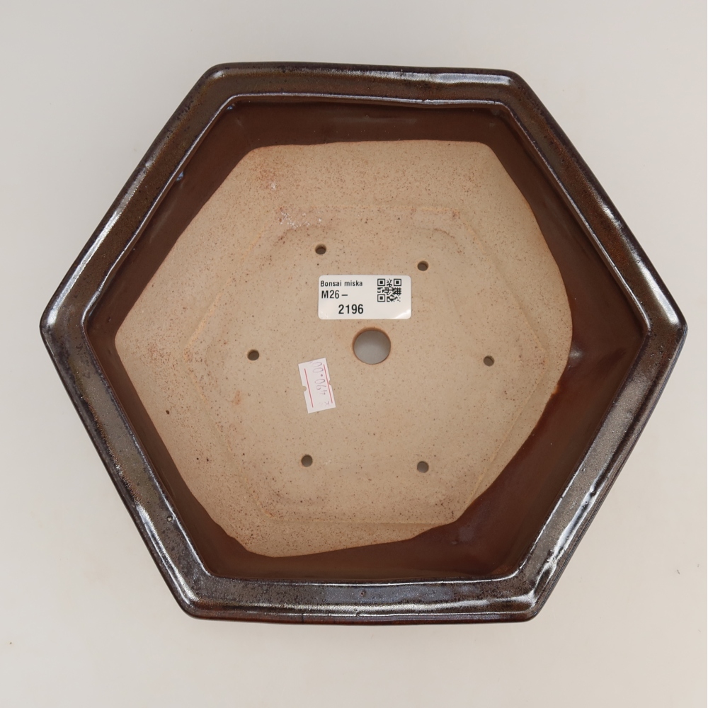 Vaso da bonsai in ceramica 24 x 21,5 x 7,5 cm, colore marrone