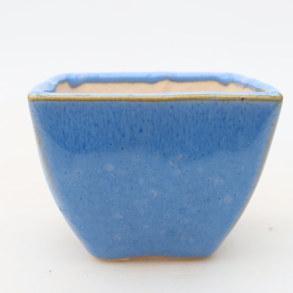 Ciotola bonsai in ceramica 5,5 x 5,5 x 4,5 cm, colore blu