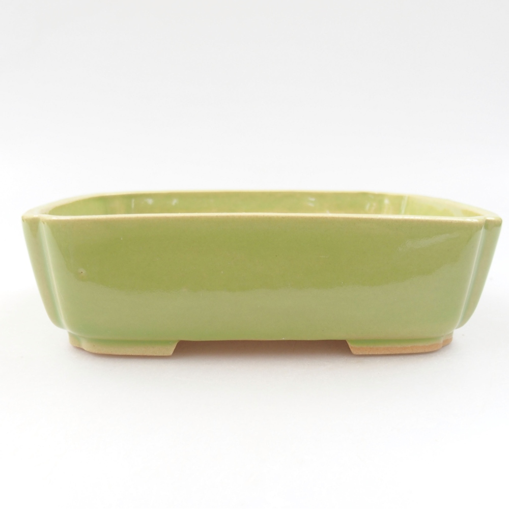 Ciotola bonsai in ceramica 22 x 17 x 5 cm, verde