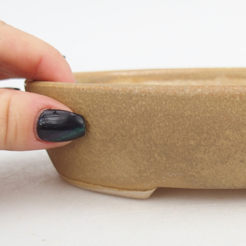 Ciotola bonsai in ceramica 17 x 14 x 4 cm, colore beige