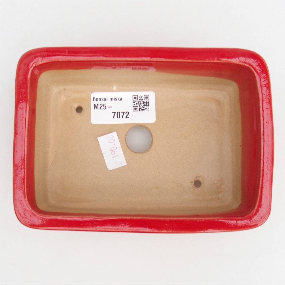 Ciotola bonsai in ceramica 26 x 26 x 8 cm, colore rosso