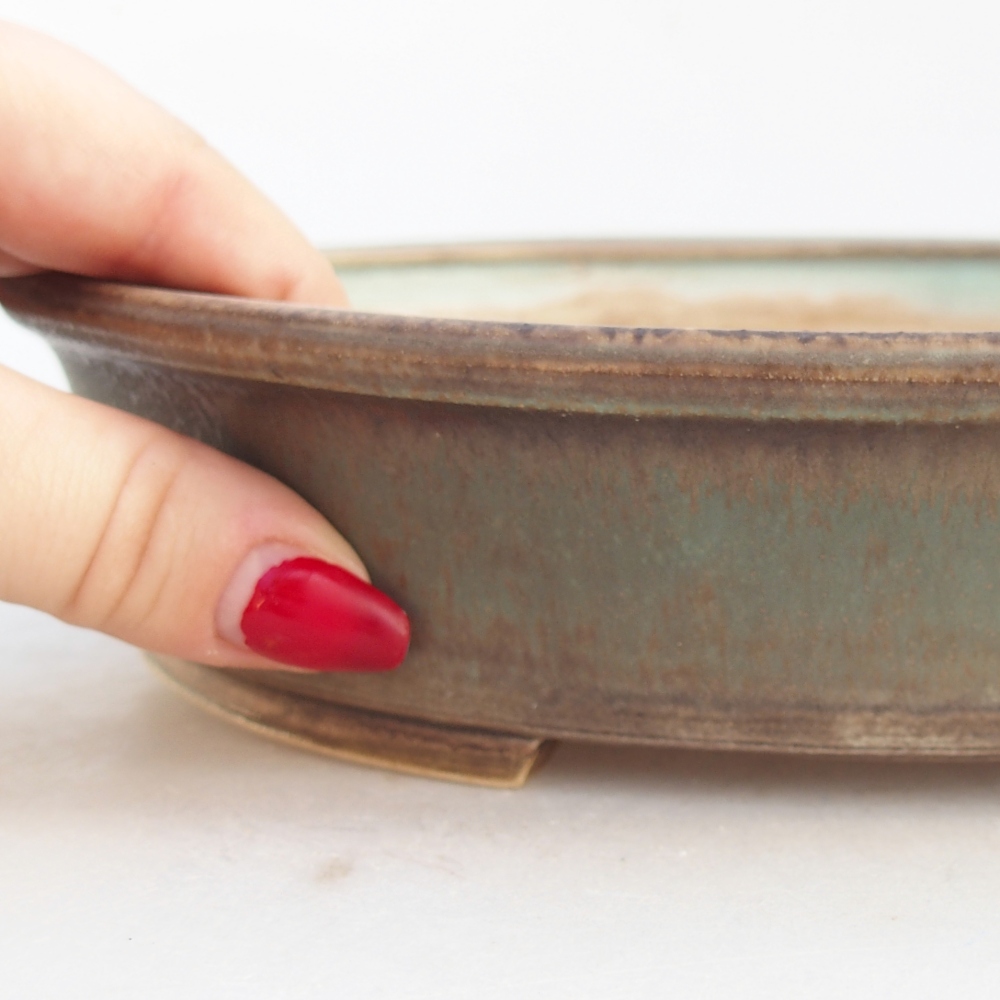 Ciotola bonsai in ceramica 24 x 21 x 5 cm, verde