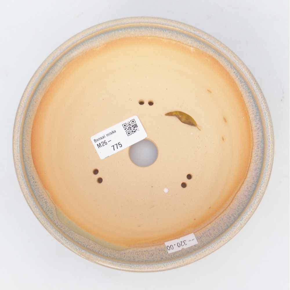 Ciotola per bonsai in ceramica 17 x 17 x 5,5 cm, verde-marrone