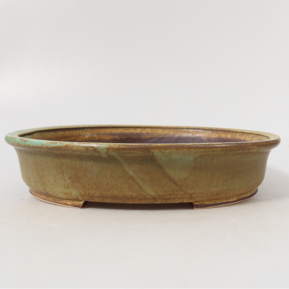 Ciotola bonsai in ceramica 24 x 21 x 5 cm, verde