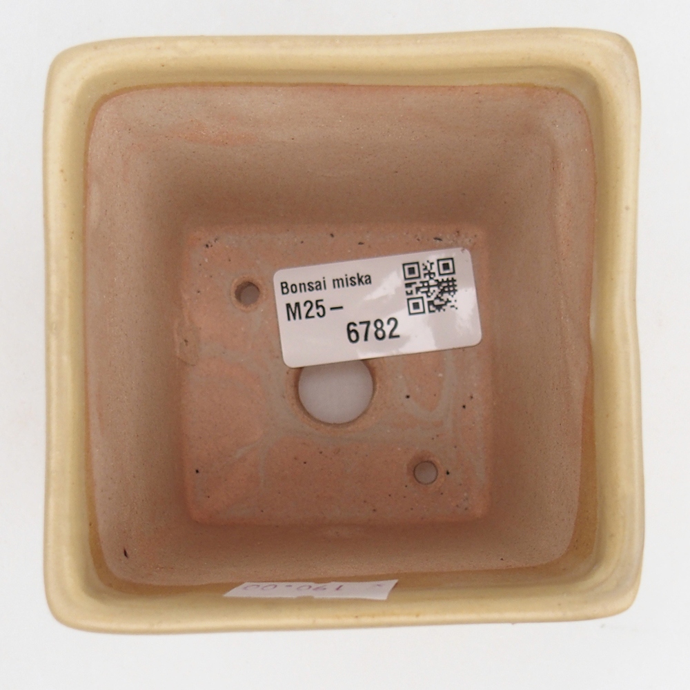 Ciotola per bonsai in ceramica 7,5 x 7,5 x 10 cm, colore beige