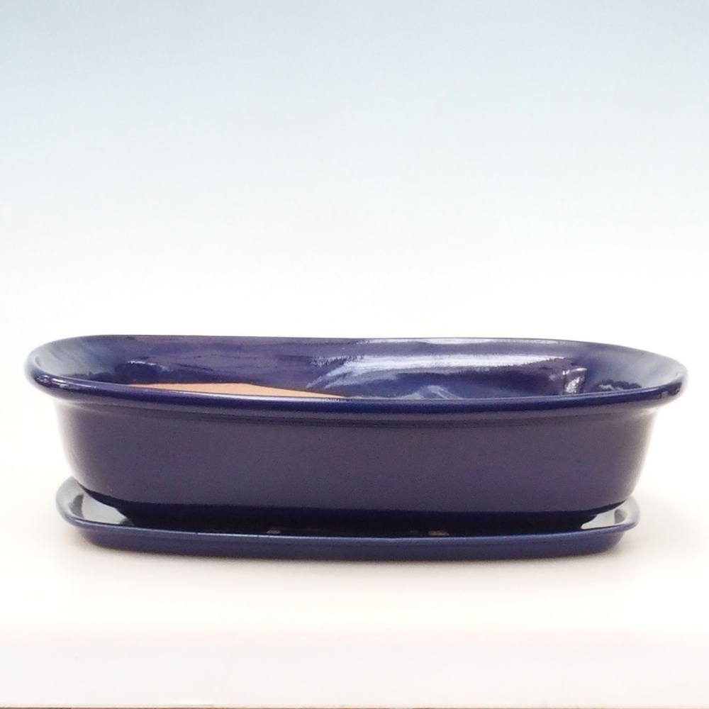 Ciotola bonsai + piattino H10 - 37 x 28 x 9 cm - blu