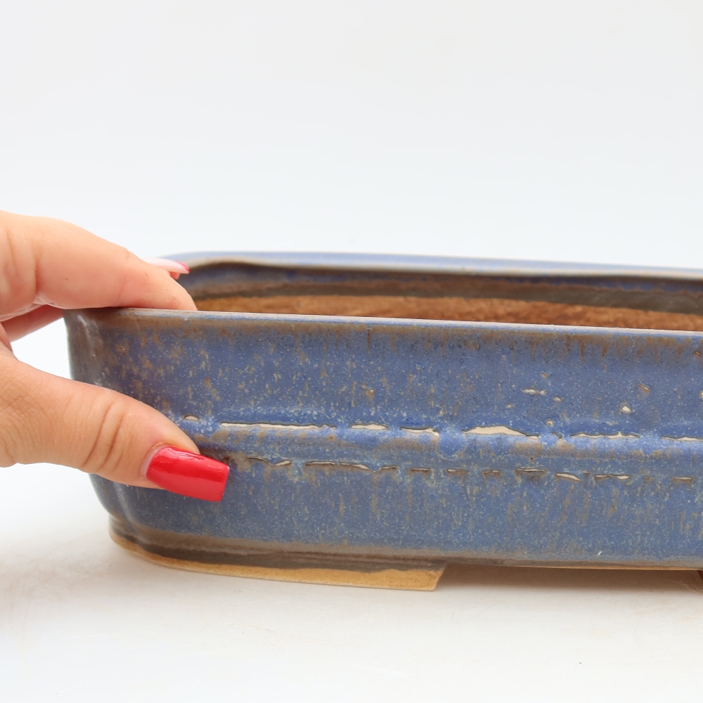 Vaso in ceramica per bonsai 29,5 x 23 x 7 cm, colore blu