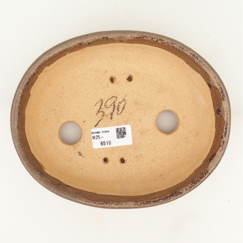 Ciotola per bonsai 19,5 x 16 x 6 cm , colore marrone