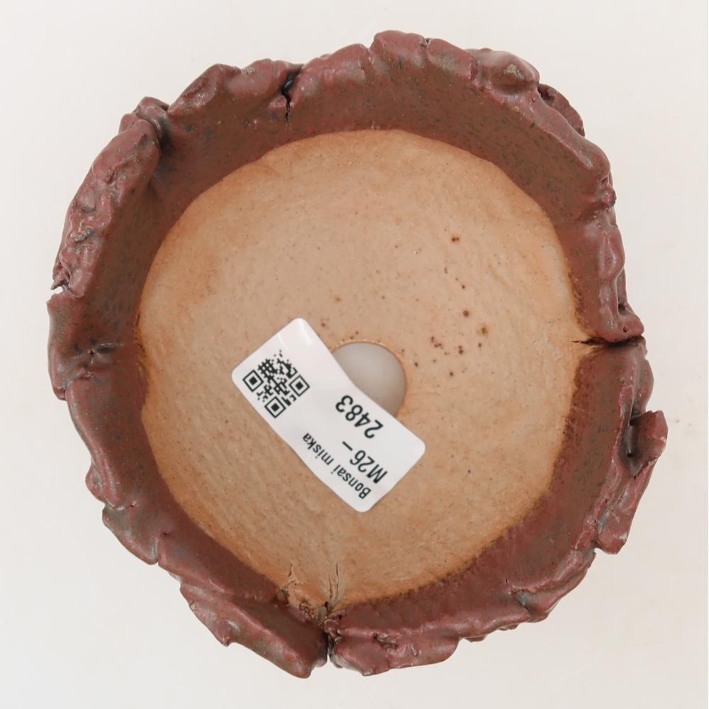 Guscio in ceramica  10,5 x 10,5 x 7 cm, colore rosa