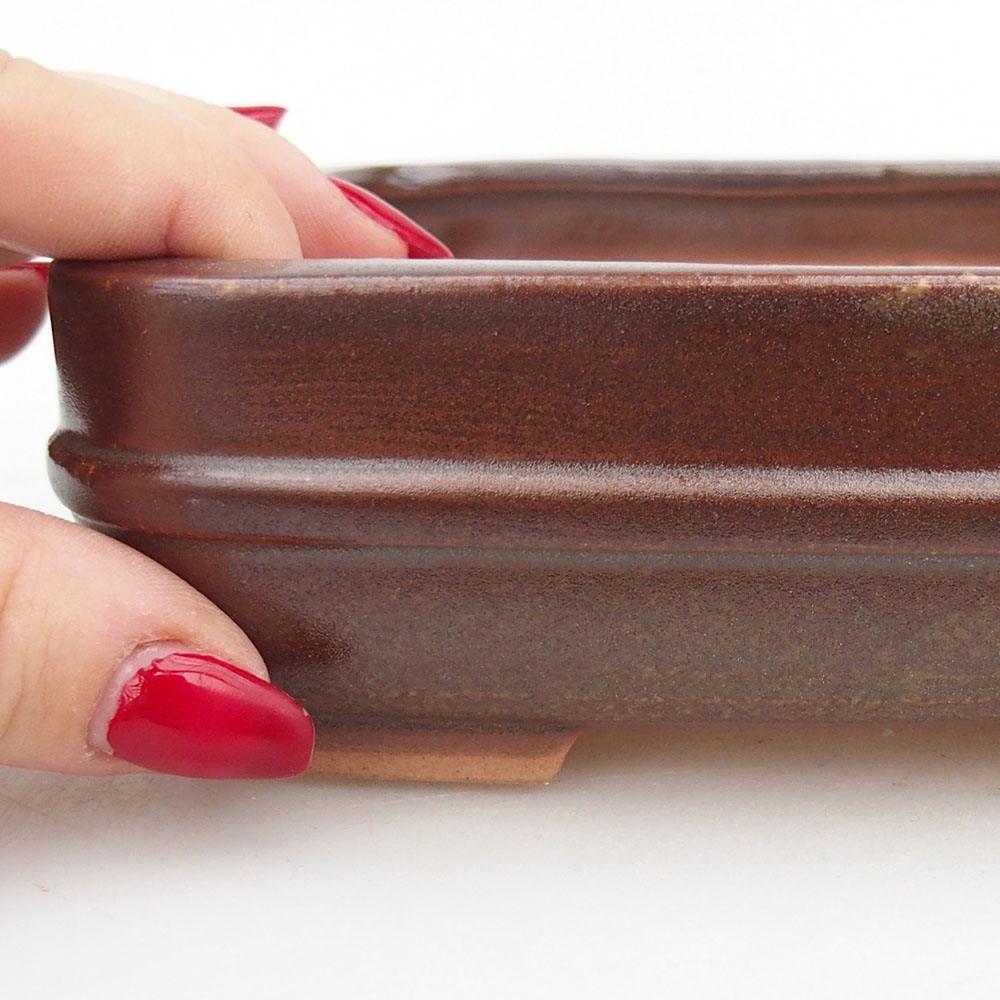 Ciotola per bonsai in ceramica 14,5 x 12,5 x 4,5 cm, marrone