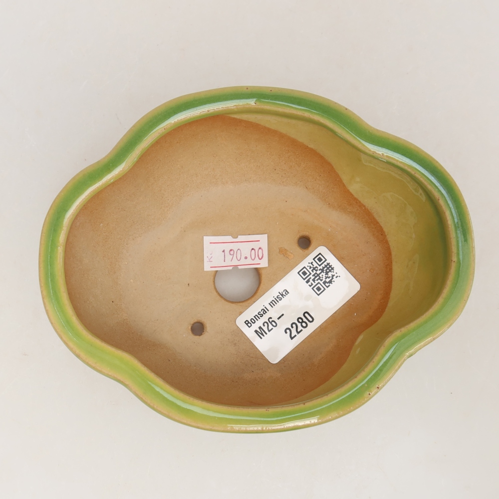 Vaso da bonsai in ceramica 12,5 x 10,5 x 4,5 cm, colore verde