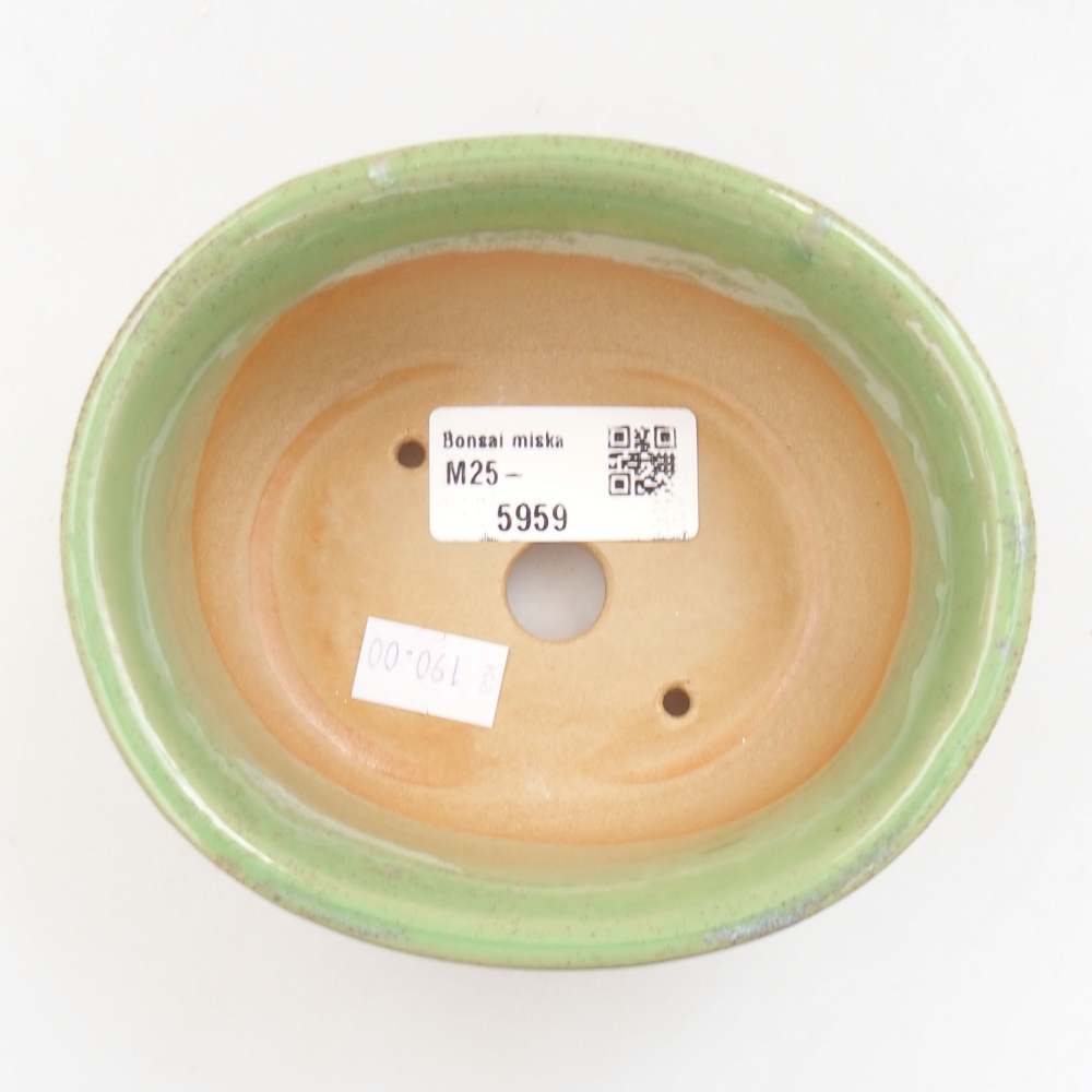 Ciotola bonsai in ceramica 22 x 17 x 5 cm, verde
