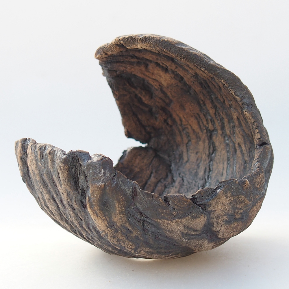 Conchiglia in ceramica 10 x 9 x 10 cm , colore marrone
