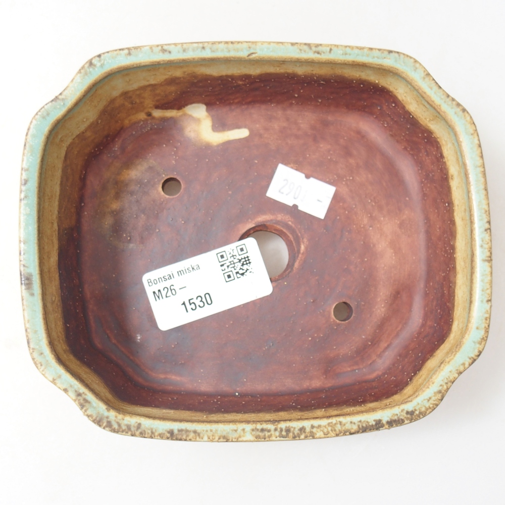 Ciotola bonsai in ceramica 14 x 12 x 4,5 cm, verde