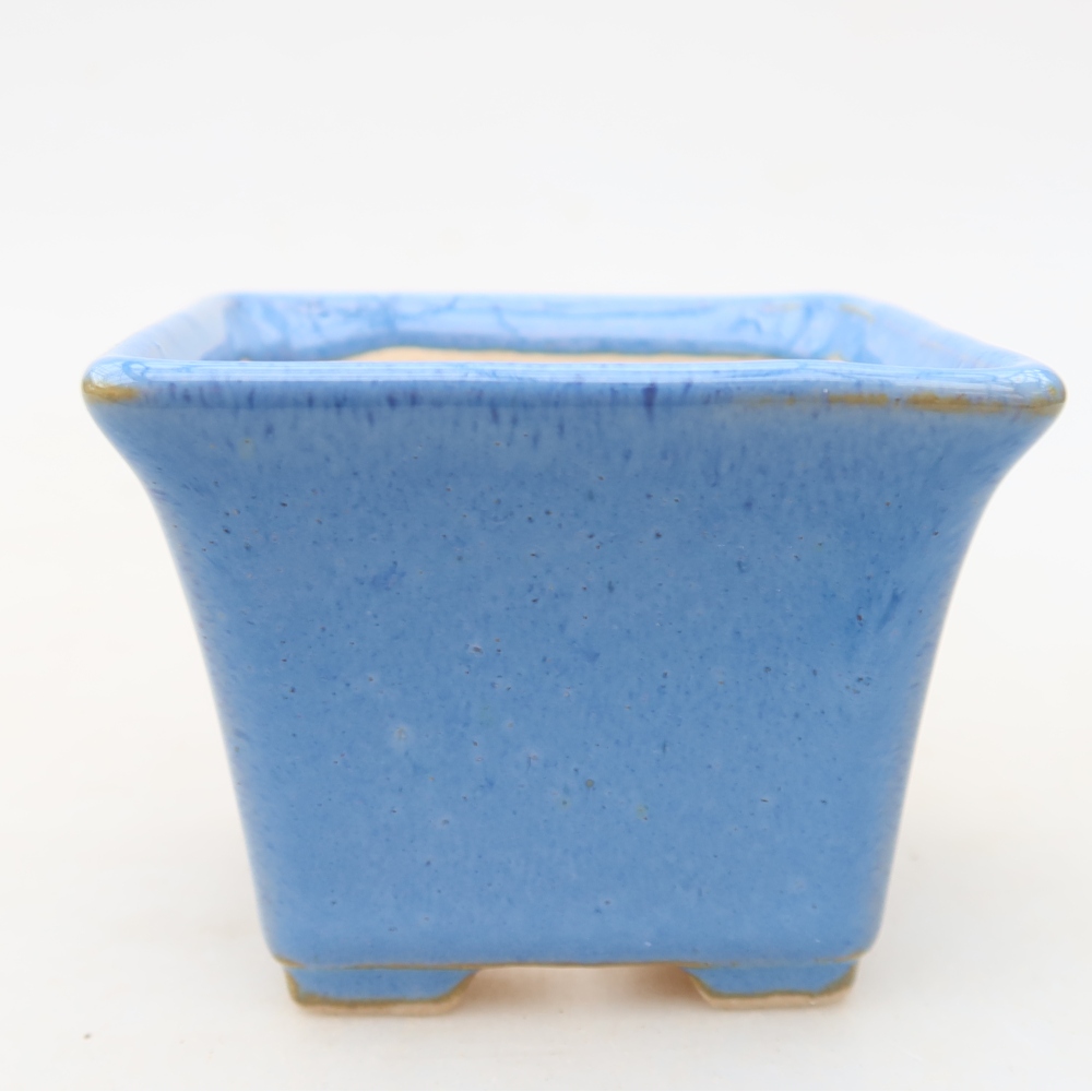 Ciotola bonsai in ceramica 6,5 x 6,5 x 5 cm, colore blu