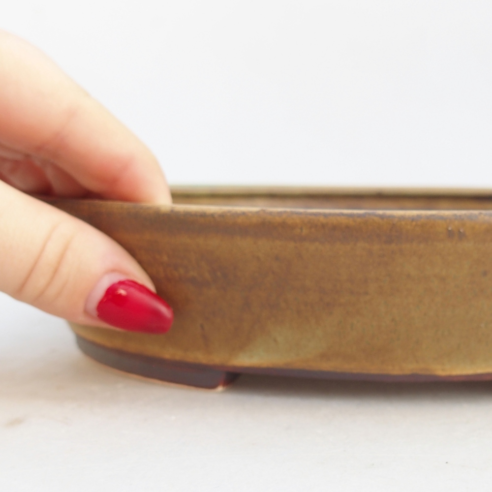 Ciotola bonsai in ceramica 21 x 19 x 4,5 cm, verde